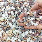 FANTIAN 2 lbs Natural Mixed Color Pea Gravel Pebbles, 3/8 inch Decorative Rocks for Succulents, Pebbles for Indoor Plants, Vases, Aquarium Gravel, Top Dressing, Outdoor Decorative Stones