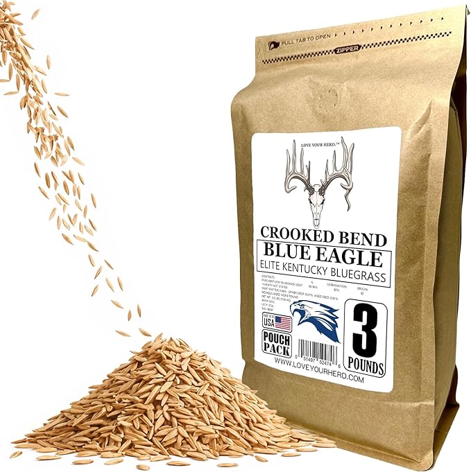 Crooked Bend Blue Eagle Kentucky Bluegrass Seed, 3LB, Uncoated & No Fill, Grow Full, Beautiful & Best Yards, Thicken Lawns & Turf, Growing Dark Green Organic Grass Carpet, Plants 580 Square feet