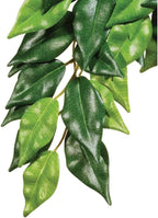 Exo Terra Silk Terrarium Plant, Medium, Ficus