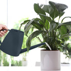 Watering Can - for Indoor and Outdoor House Plant Garden - with Long Spout - 1/2 Gallon - Grey