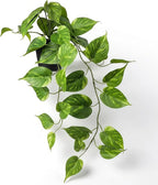 Fake Pothos Hanging Plants – Artificial Plastic Ivy Vines with Pots, Realistic Faux Greenery for Indoor Home Office Bathroom Shelf Cabinet Tabletop Decoration