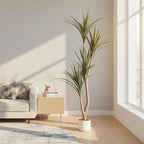 5.4FT Artificial Dracaena Tree in Pot, Evergreen Artificial Dracaena Marginata Plants Indoor, Decorative Potted Floor Plant for Living Room Porch Office Decor