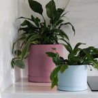 Bloem Mathers 10" Dusty Rose Round Modern Resin Garden Planter Pot with Drainage Holes and Removable Saucer Tray Included