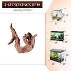 majoywoo Natural Small Driftwood for Aquarium Decor Reptile Decor, Assorted Driftwood Branch 2-4.5" 10 Pcs, Fish Tank Decorations