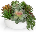 DILATATA Artificial Succulent Plants in Pot 5.5 Inch Fake Succulents Arrangement Potted Plant in White Ceramic Planter Bowl for Home Office Desk Shelf Living Room Bedroom Bathroom Decor