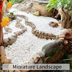 FANTIAN 2 lbs White River Rocks for Plants, 3/8 Inch Gravel Pebbles for Plants. Decorative White Stones for Succulents, Cactus, Vase and Outdoor Garden Landscaping