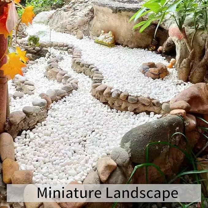 FANTIAN 2 lbs White River Rocks for Plants, 3/8 Inch Gravel Pebbles for Plants. Decorative White Stones for Succulents, Cactus, Vase and Outdoor Garden Landscaping