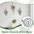 6 Pack Air Plants Live Holders Hanging Air Plant Holder Adjustable Rust-Resistant Iron Rings With Jute Ropes Soilless Stand Display Container For Tillandsia Succulents Home Office Decor Black