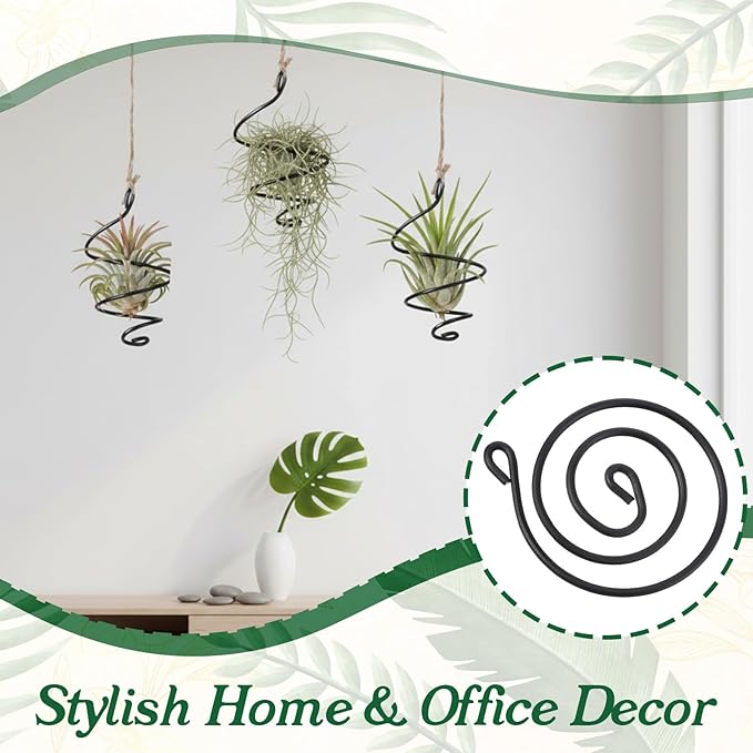 6 Pack Air Plants Live Holders Hanging Air Plant Holder Adjustable Rust-Resistant Iron Rings With Jute Ropes Soilless Stand Display Container For Tillandsia Succulents Home Office Decor Black