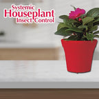 Bonide Systemic Houseplant Insect Control, 8 oz Ready-to-Use Granules for Indoors and Outdoors, Protects Plants from Insects (Pack of 12)