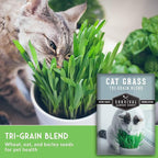 Cat Grass Seeds for Planting – Grow Pet Greens Indoors or Outdoors – Heirloom Non-GMO Tri Grain Blend – Survival Garden Seeds (1 Pack, Seed Only)