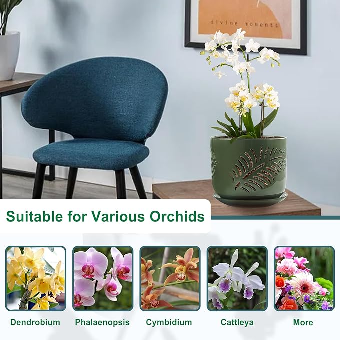 5+6 inch Orchid Pots with Holes, Orchid Pots for Repotting, Healthy Air Circulation Plant Pots for Plant Lovers, Planters for Indoor/Outdoor Plants, Set of 2