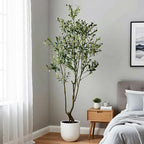 Faux Olive Tree 5.5ft(66in) Tall Artificial Plant Indoor Decor Realistic Potted Fake Modern Greenery with Natural Wood Branches and Green Leaves for Living Room,Bedroom,Christmas Holiday Decor