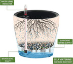 Dexceder 11x10 Self Watering Planter (Slate Gray Matte) | Inner Pot Design, Thickened Table Flower Plant Pot with Water Level Indicator Indoor Outdoor