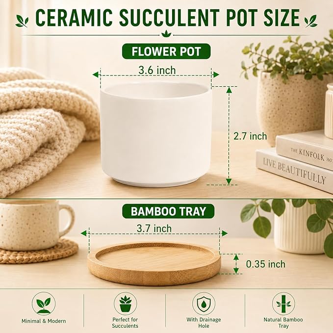 ZOUTOG Ceramic Succulent Pots 8 Pack,3.6 Inch Plant Pots,Succulent Planters with Drainage Hole & Bamboo Tray for Indoor Plants,White Small Flower Planters for Home,Office,Desk