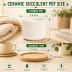 ZOUTOG Ceramic Succulent Pots,3.6 Inch Plant Pots,Succulent Planters with Drainage Hole & Bamboo Tray for Indoor Plants,White Small Flower Planters for Home,Office,Desk(6 Pack)