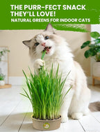 Cat Grass Kit for Indoor Cats, 3 Pack Fast Growing Cat Grass Kit with Eco-Friendly Biodegradable Pots, Soil & Wheatgrass Seeds, Grows in 3-7 Days with High Germination Rate