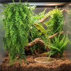PINVNBY Reptile Plants Hanging Fake Vines Boston Climbing Terrarium Plant with Suction Cup for Bearded Dragons Lizards Geckos Snake Pets Hermit Crab and Tank Habitat Decorations (4 Pack)