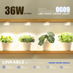 Barrina Orbgrow OG09 Puck Grow Light with Timer, 660nm Red LEDs 36W(4 x 9W, 540 Watt Equiv), Full Spectrum Plant Light for Indoor Plant, Magnetic & Linkable, 5 Levels Dimmable for Plant Shelf, 4 Packs