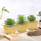 Hollyone Small Succulents Artificial 3 Pcs Faux Succulents with Gold Pots Mini Fake Succulent Plants Indoor Plant Ceramic Pots for Modern Office Desk Bathroom Shelf Living Room Home Decor