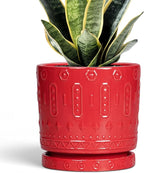 6 Inch Plant Pot, Ceramic Flower Pots for Indoor Outdoor Plants, Round Pots for Plants with Drainage Hole and Tray, Boho Decorative Planter, Kitchen Decor, Gardening Gifts for Women, Red