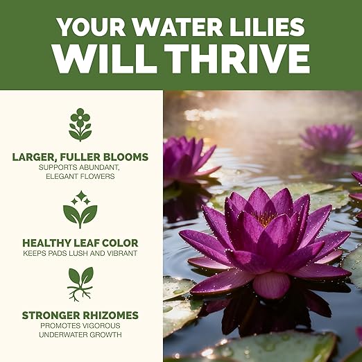 Water Lily Fertilizer – Liquid Plant Food for More Blooms, Healthy Aquatic Growth & Stronger Root Development, 32 oz