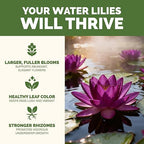 Water Lily Fertilizer – Liquid Plant Food for More Blooms, Healthy Aquatic Growth & Stronger Root Development, 8 oz