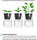 ORIMERC 4 inch 15 Pack Net Cups Pots, with 15 feet Self Watering Rope, 15 Plant Labels, for Hydroponics Aquaponics Kratky Orchid Vegetable Indoor Outdoor Growing Baskets Nursery Slotted Mesh BPA Free