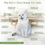 Hydroponic Cat Grass Grow Kit with 5Pack Non GMO Seeds, Organic Grass Growing Kit, Cat Grass for Indoor Cats, Soil-Free Planter, Perfect for Beginners, Ideal Birthday Gift for Cat Lovers