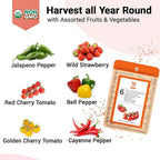 Strawberry Seed Pods for All Hydroponics Growing System, 8 Pods with 600+ Seeds of Cherry Tomato, Jalapeno Pepper, Cayenne Pepper, Strawberry and Bell Pepper