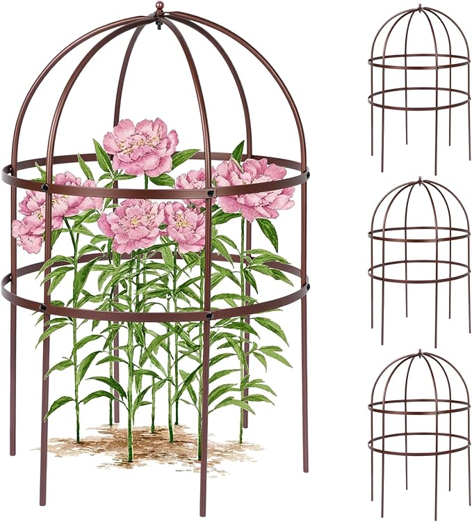 4 Pcs Jardin Bird Cage Plant Support 24" H Large Sturdy Grow-Through Flower Support Peony Cage Climbing Plant Support Trellis Sculptural Garden Decor for Perennial Flowers (Vintage Gold)