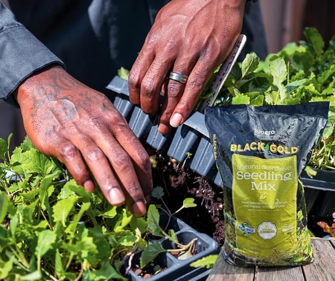 Black Gold Seedling Mix 8qt