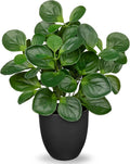 Villa Como 14.5" Artificial Plants Indoor Home Decor, Fake Potted Silk Plants for Shelves Living Room Decorative, Small Artificial Office Desk Plants in Pots, Faux Peperomia Hope Tropical House Plant