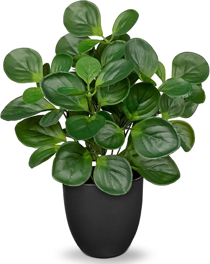 Villa Como 14.5" Artificial Plants Indoor Home Decor, Fake Potted Silk Plants for Shelves Living Room Decorative, Small Artificial Office Desk Plants in Pots, Faux Peperomia Hope Tropical House Plant