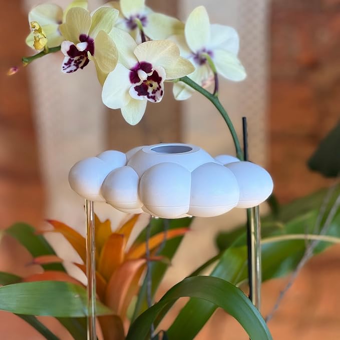 The Original Dripping Rain Cloud for Plants, Plant Watering Rain Cloud, Plant Lover Gifts, Plant Lady Gifts for Women, Plant Accessories