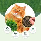 Doter Organic Potting Soil for Indoor Cat Grass, Great Seedling Soil for Wheat Grass, Bermuda, Catnip, and All Indoor Herb Plants
