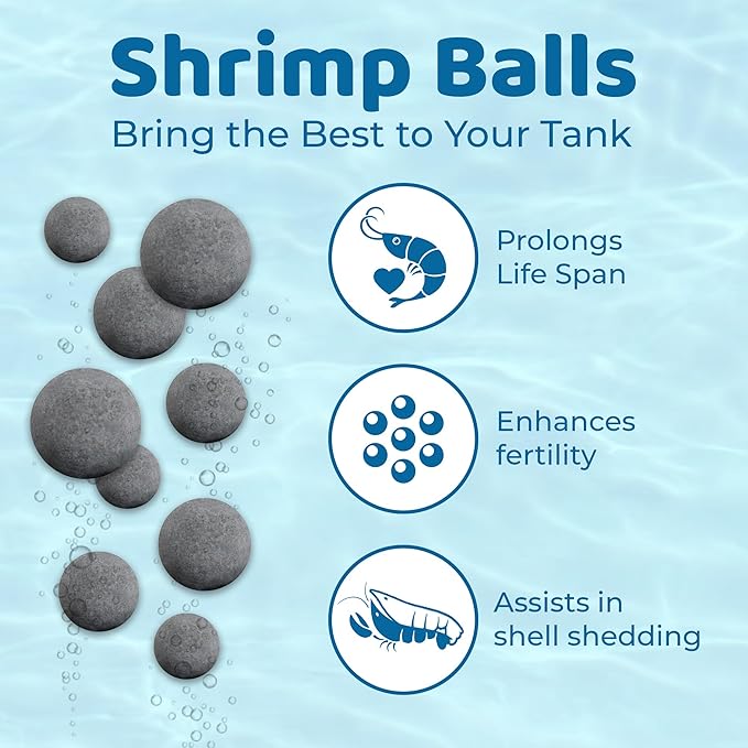 SunGrow Shrimp Balls, Aquarium Water Conditioner Balls, Successful Shedding, Increase Survival Rate, Impart Vibrance, Cool Décor with Wellness Benefits