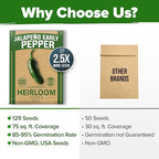 HOME GROWN Jalapeno Pepper Seeds 129+ Heirloom Non-GMO Seeds for Planting, High Germination, Mild to Medium Heat Hot Peppers, Prolific Garden Crop, Perfect for Salsa & Pickling (Capsicum annuum)