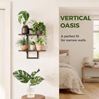 Bamworld Wall Planters for Indoor Plants Window Plant Shelves Vertical Plant Holder Wall Decor Plant Stand Indoor Floating Shelves for Plant Hangers for Living Room Bedroom Bathroom