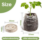 MAQIHAN 50PCS Peat Pellets for Seedlings - 35MM Seed Starter Pellets Peat Pods for Starting Seeds Garden Soil for Planting Transplanting Growing Garden Flower Vegetables Germination Propagation Tray
