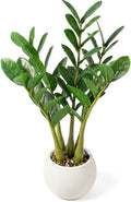 TentoWhan（2Packs Faux Plants Indoor 18.9" Artificial ZZ Plants in White Pot Fake Potted Zamioculcas Silk Faux Plants for Home Table Decor Bedroom Aesthetic