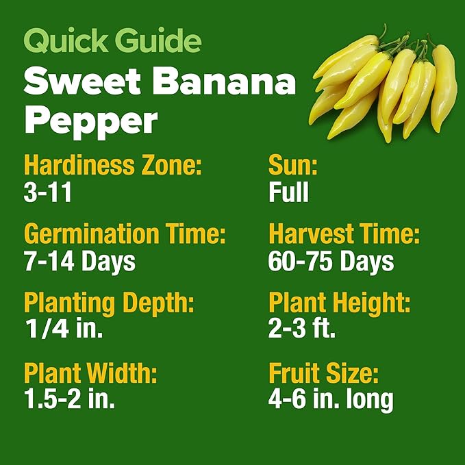 HOME GROWN Sweet Banana Pepper Seeds 188+ Heirloom Non-GMO Seeds for Planting, High Germination, Mild Yellow Sweet Peppers, Prolific Garden Crop, Perfect for Pickling & Salads (Capsicum annuum)