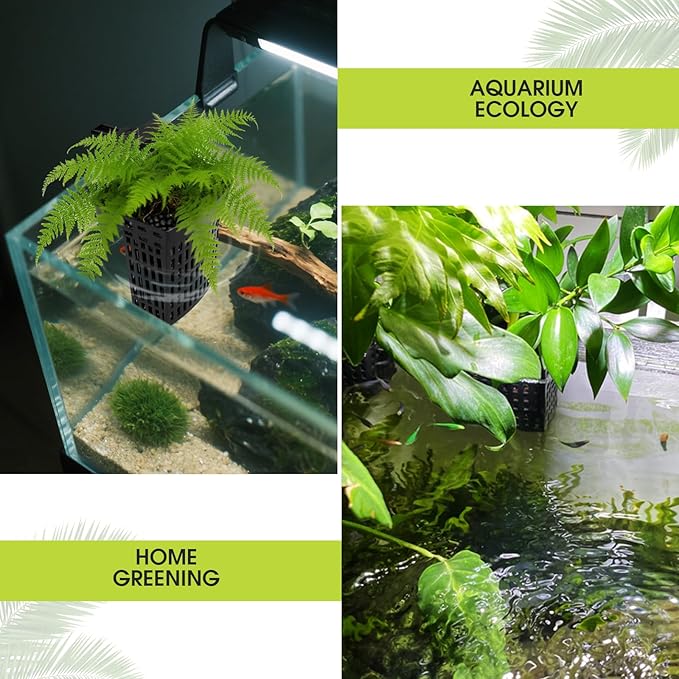 4 PCS Upgraded Aquarium Plant Holder, Adjustable thickness height Fish Tank Plant Holder with 4 Extension Hooks and 4 Suction Cups for Fish Tank Aquaponic Plant Cultivation