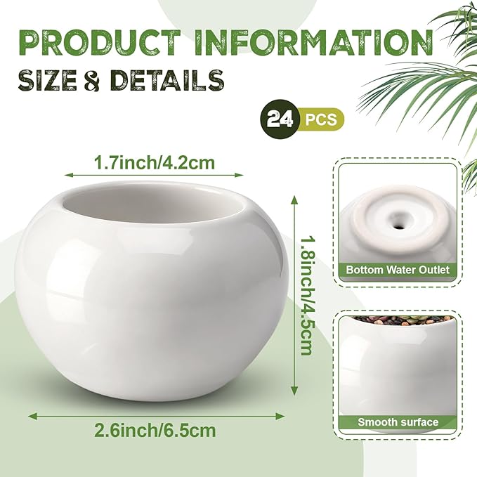 24 Pack 2.5 Inch Mini Succulent Plant Ceramic Pot with Drainage Hole, Small Pineapple Clay Garden Planter for Succulents, Cactus, DIY Easter Spring Craft Activity(White,Classic)