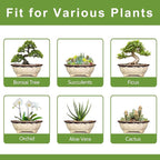 Ceramic Bonsai Pots - 13.2 Inch Succulent Planters for Indoor Plants Outdoor, Bonsai Tree Pots with Drainage Hole, Decorative Shallow Planter, Room Decor, Gifts for Men Women, Oval Beige-Brown