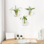 Mkono Wall Planter Propagation Stations Hanging Glass Terrariums Vase Container for Propagating Hydroponic Plants Flowers Home Office Living Room Bathroom Garden Decor, 3 Pack