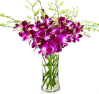 eflowerwholesale - Mother's Day Cut Purple Orchids with Vase Gift for Graduation, Birthday, Sympathy, Anniversary, Get Well, Thank You, Valentine, (Support Small Business)