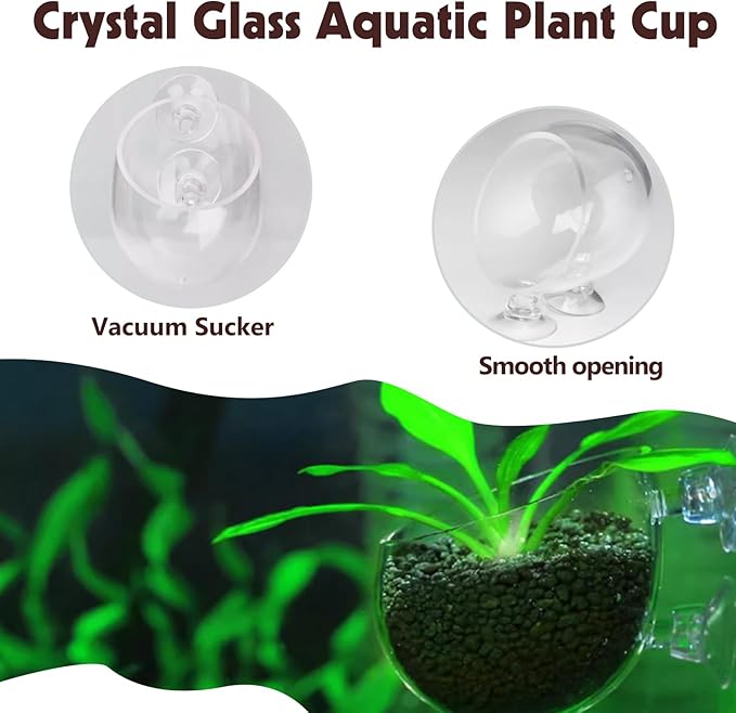 Tfwadmx 6 Pieces Aquarium Plant Holder Pot Aquarium Decor Crystal Glass Aquatic Plant Cup with Suction Cups Aquarium Fish Tank Decorations