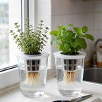 12 Pack Transparent Hydroponic Cups with Humidity Domes, 5in1 Hydroponics Growing System Kit, Clear Self Watering Planters for Indoor Plants, Herbs, Seed Starting, Root Monitoring
