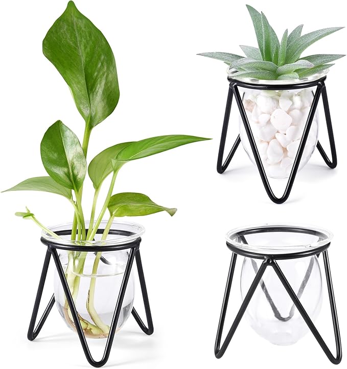 Jspupifip 3 Pcs Glass Plant Terrarium with Metal Stand, Air Plants Holders Hydroponic Plant Vases Desktop Bulb Glass Vase for Indoor Plants Home Garden Office Decoration, Black